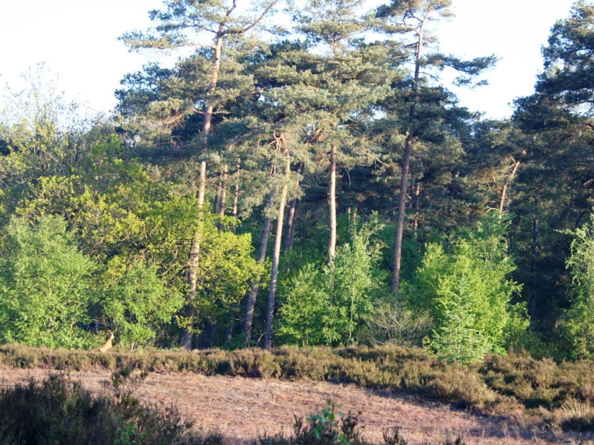 Cozy Home With Lots Of Privacy, In The Forest 德布尔特 外观 照片